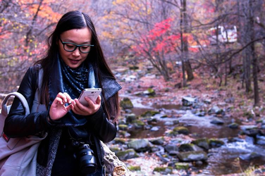 安装步骤示意图